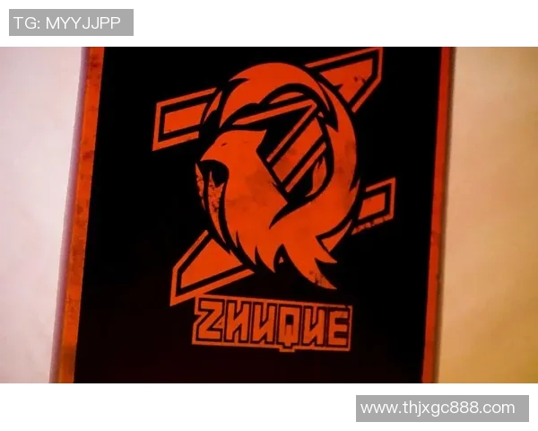 FPX战队的蜕变之旅：从荣耀巅峰到全新征程的纪实记录